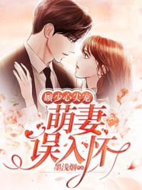 独家婚宠:顾少，高调宠