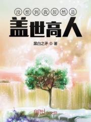 没想到我居然是盖世高人