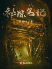 秘踪笔记