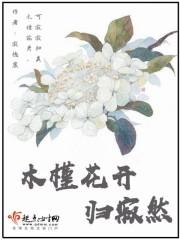 木槿花开归寂然