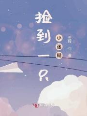 捡到一只小迷糊