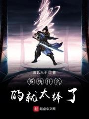 系统什么的就太棒了