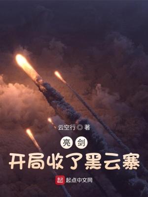 亮剑:开局收了黑云寨